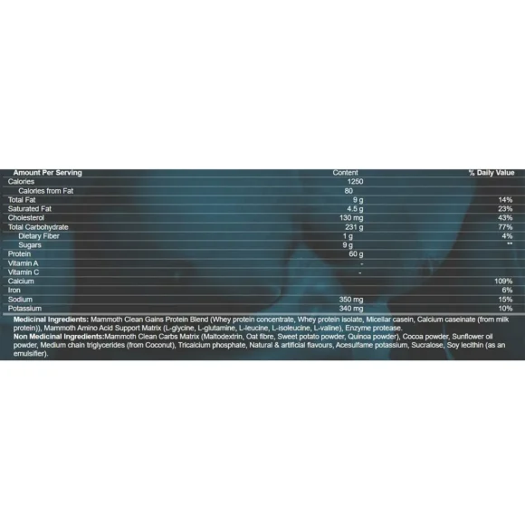Mammoth 5lbs Mass Gainer Rich Chocolate - Image 2